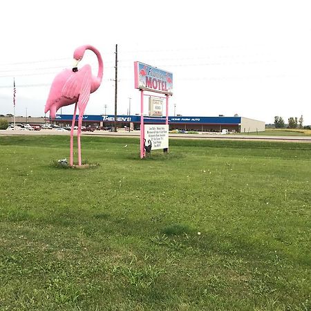Flamingo Motel Marshalltown Zewnętrze zdjęcie