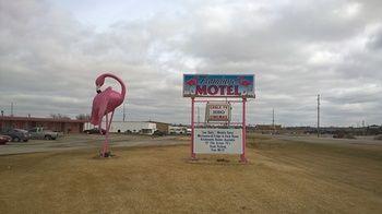 Flamingo Motel Marshalltown Zewnętrze zdjęcie
